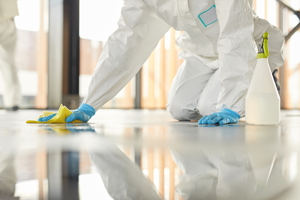 Floor Cleaning Services: How Much They Cost and the Benefits of Hiring Them  - Mill City Cleaning